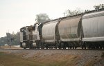 CSX 73 and 8533 head SB